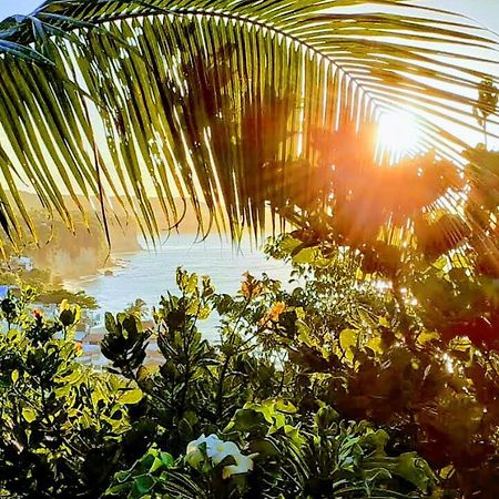 1 Coco Bambu Pipa Apto 1, A 200 M Da Praia E A 100 M Do Centro Da Cidade Praia de Pipa Dış mekan fotoğraf