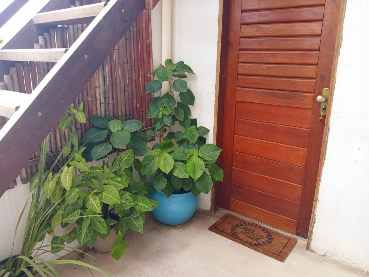 1 Coco Bambu Pipa Apto 1, A 200 M Da Praia E A 100 M Do Centro Da Cidade Praia de Pipa Dış mekan fotoğraf